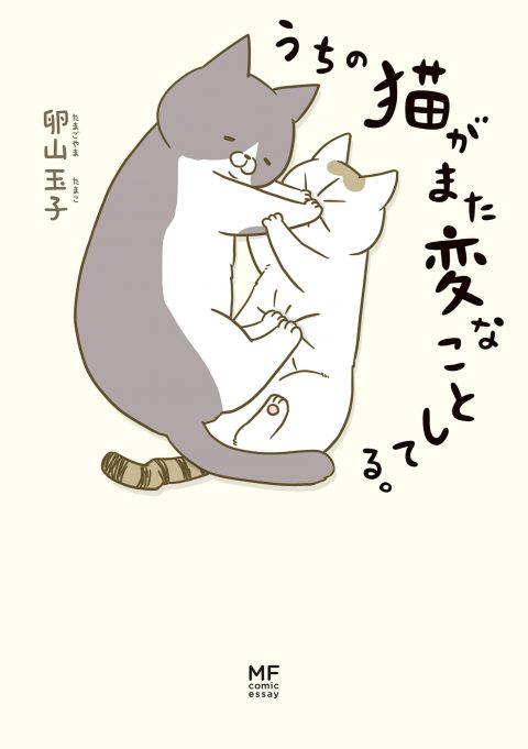 うちの猫がまた変なことしてる。