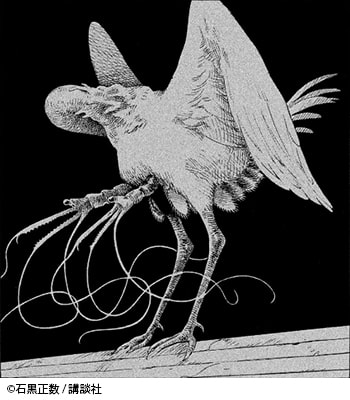 天国大魔境：ヒルコ