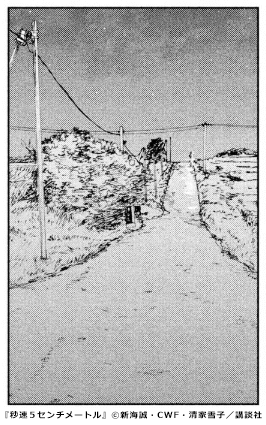 『秒速５センチメートル』通学路のさとうきび畑　コマ画像