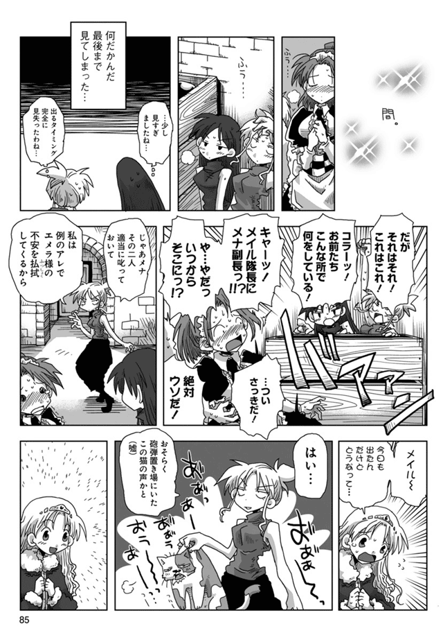 33歳独身女騎士隊長。