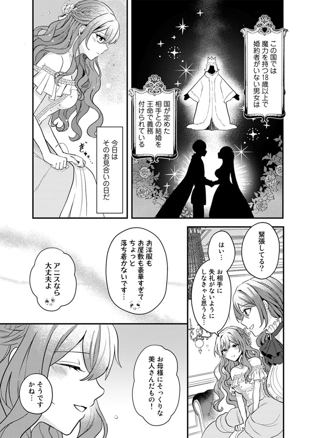 氷の侯爵様とかりそめの花嫁